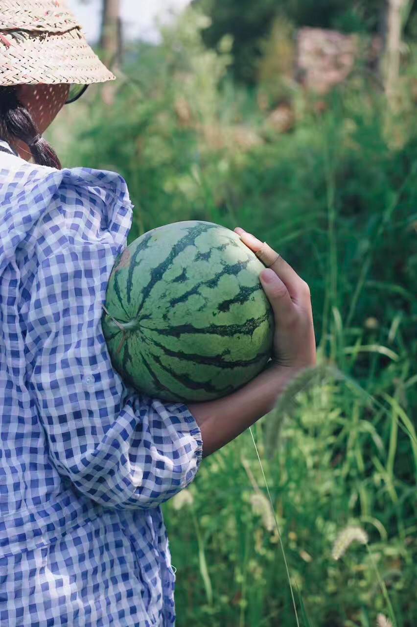 西坡千島湖民宿酒店，瓦爾登湖的自由生活