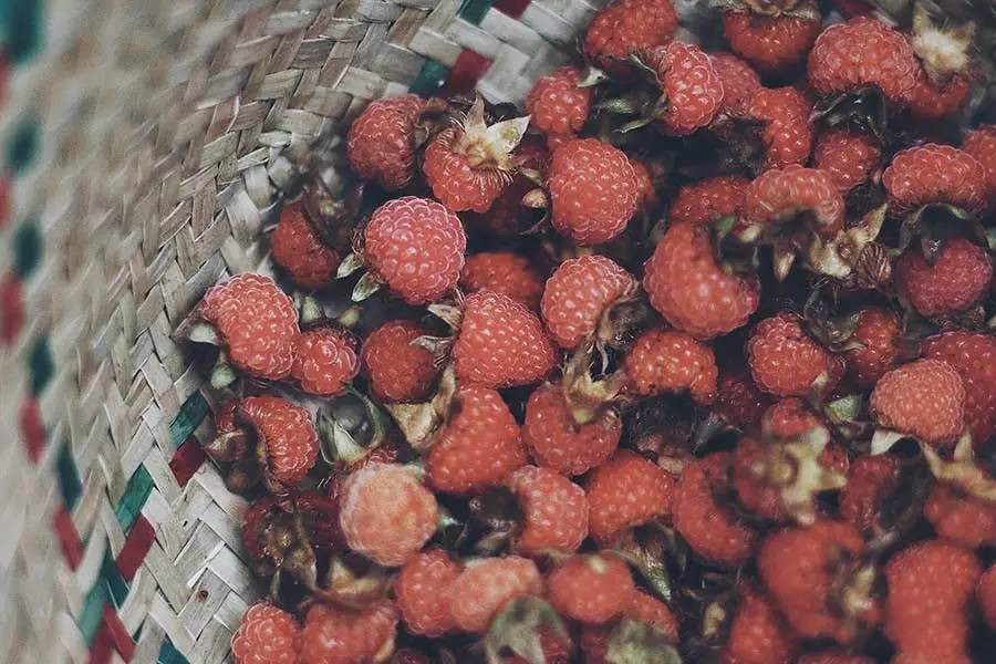 西坡千島湖民宿酒店，瓦爾登湖的自由生活