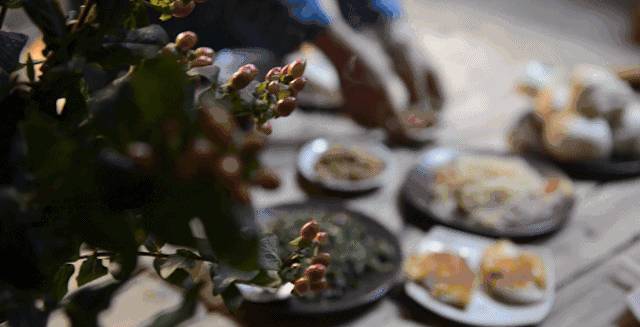 南屏喜舍民宿，從南方飛入徽州白墻灰瓦的歸燕