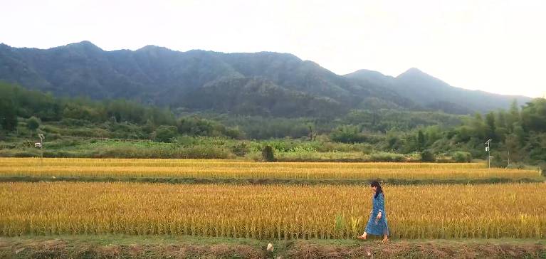 南屏喜舍民宿，從南方飛入徽州白墻灰瓦的歸燕