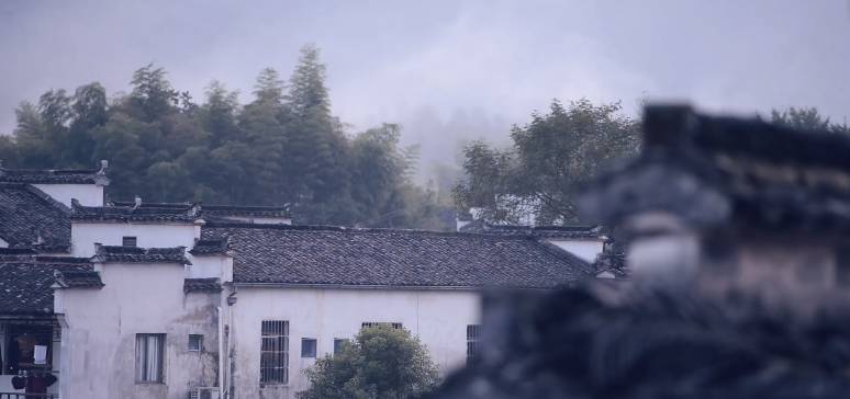 南屏喜舍民宿，從南方飛入徽州白墻灰瓦的歸燕