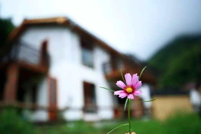 桐廬秘境民宿，不一樣人間秘境山鄉(xiāng)生活