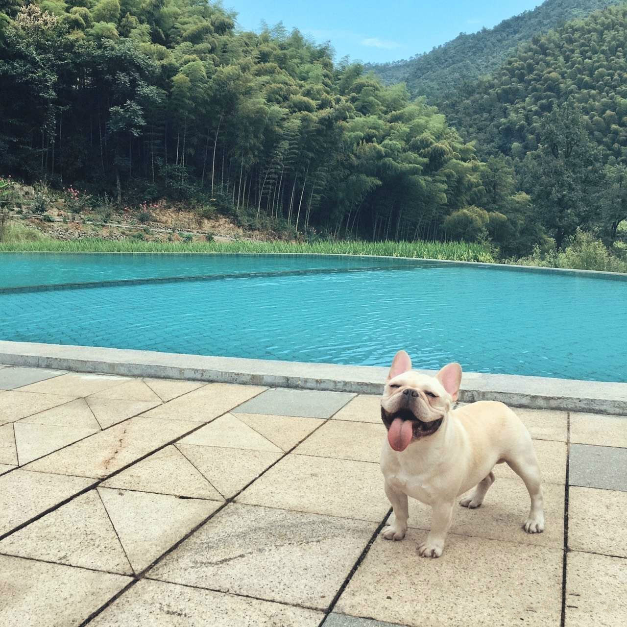 桐廬秘境民宿，不一樣人間秘境山鄉(xiāng)生活