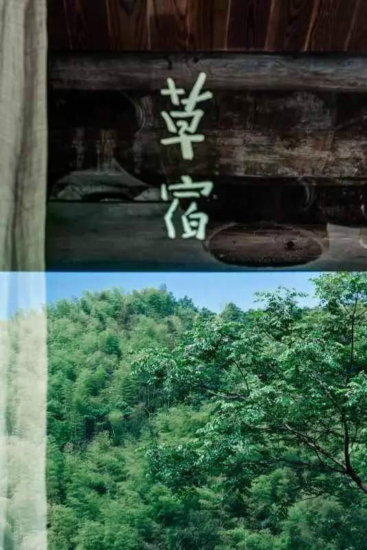 草宿民宿，愿做一顆草向往山間無拘無束的生活