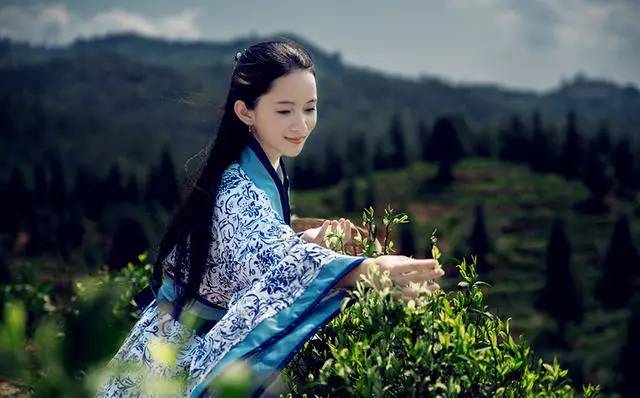 熹園茶宿，禪茶一宿悠然山水間