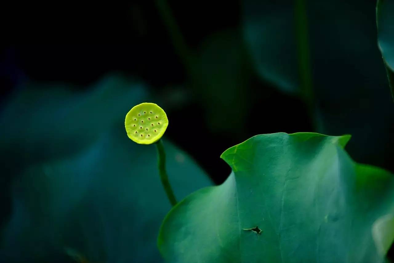 熹園茶宿，禪茶一宿悠然山水間