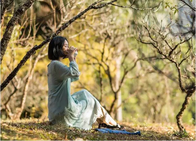 熹園茶宿，禪茶一宿悠然山水間