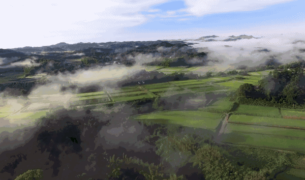 熹園茶宿，禪茶一宿悠然山水間