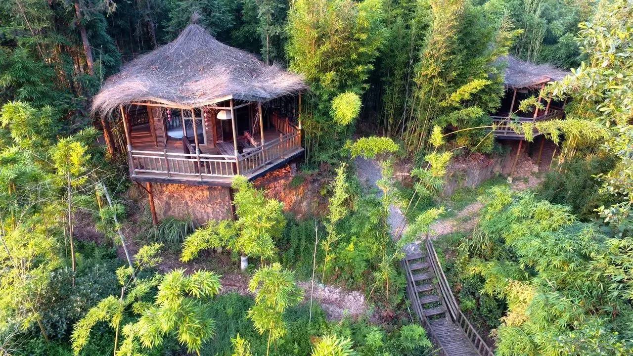 大來山樹屋民宿，喚醒古老村莊留住青山綠水