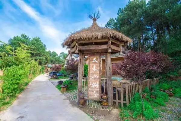 大來山樹屋民宿，喚醒古老村莊留住青山綠水