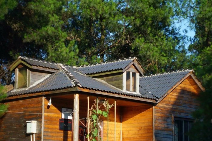 大來山樹屋民宿，喚醒古老村莊留住青山綠水