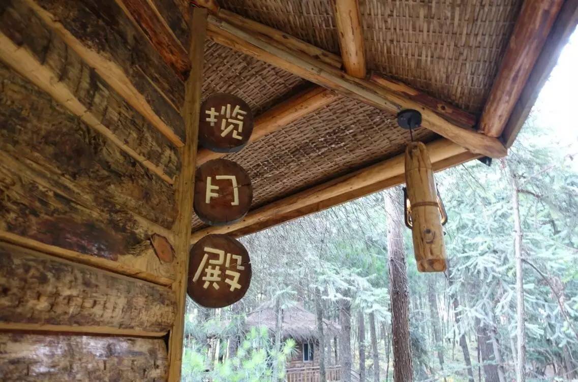 大來山樹屋民宿，喚醒古老村莊留住青山綠水