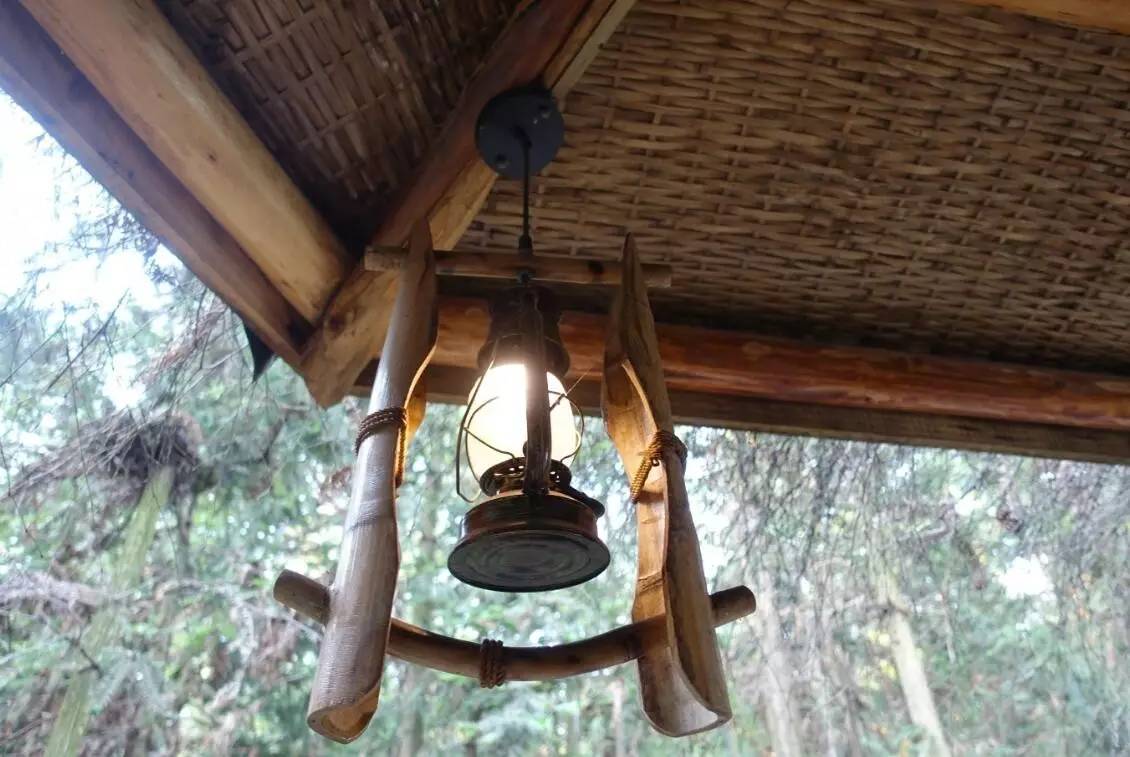 大來山樹屋民宿，喚醒古老村莊留住青山綠水