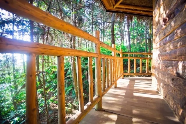 大來(lái)山樹(shù)屋民宿，喚醒古老村莊留住青山綠水