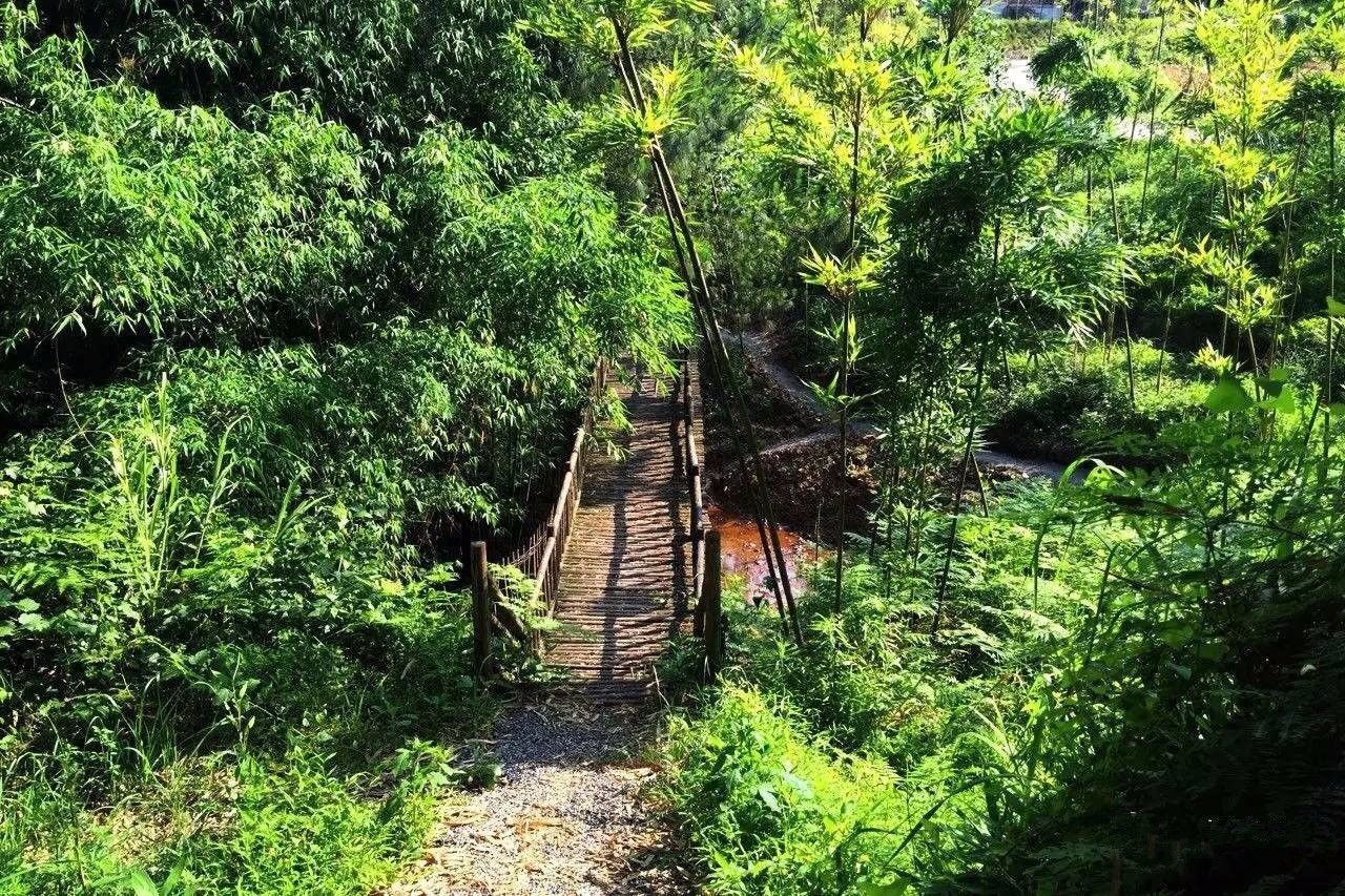 大來(lái)山樹(shù)屋民宿，喚醒古老村莊留住青山綠水
