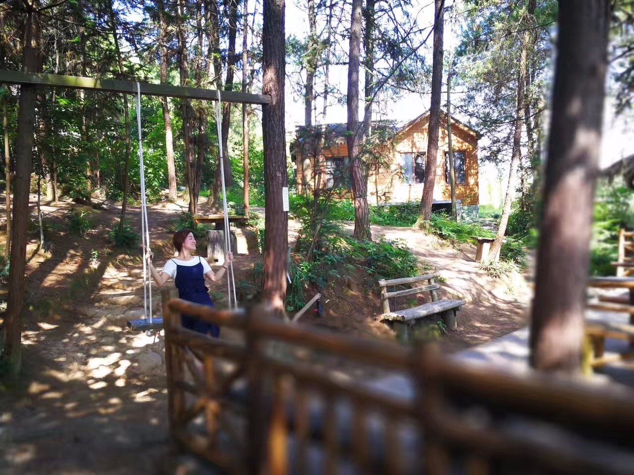 大來(lái)山樹(shù)屋民宿，喚醒古老村莊留住青山綠水