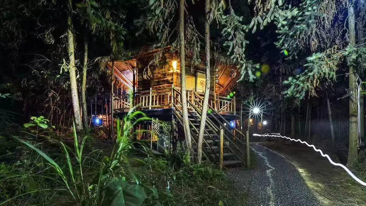 大來(lái)山樹(shù)屋民宿，喚醒古老村莊留住青山綠水