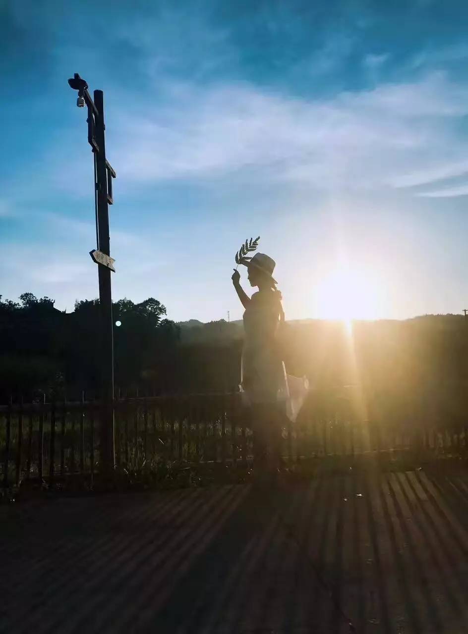 大來(lái)山樹(shù)屋民宿，喚醒古老村莊留住青山綠水