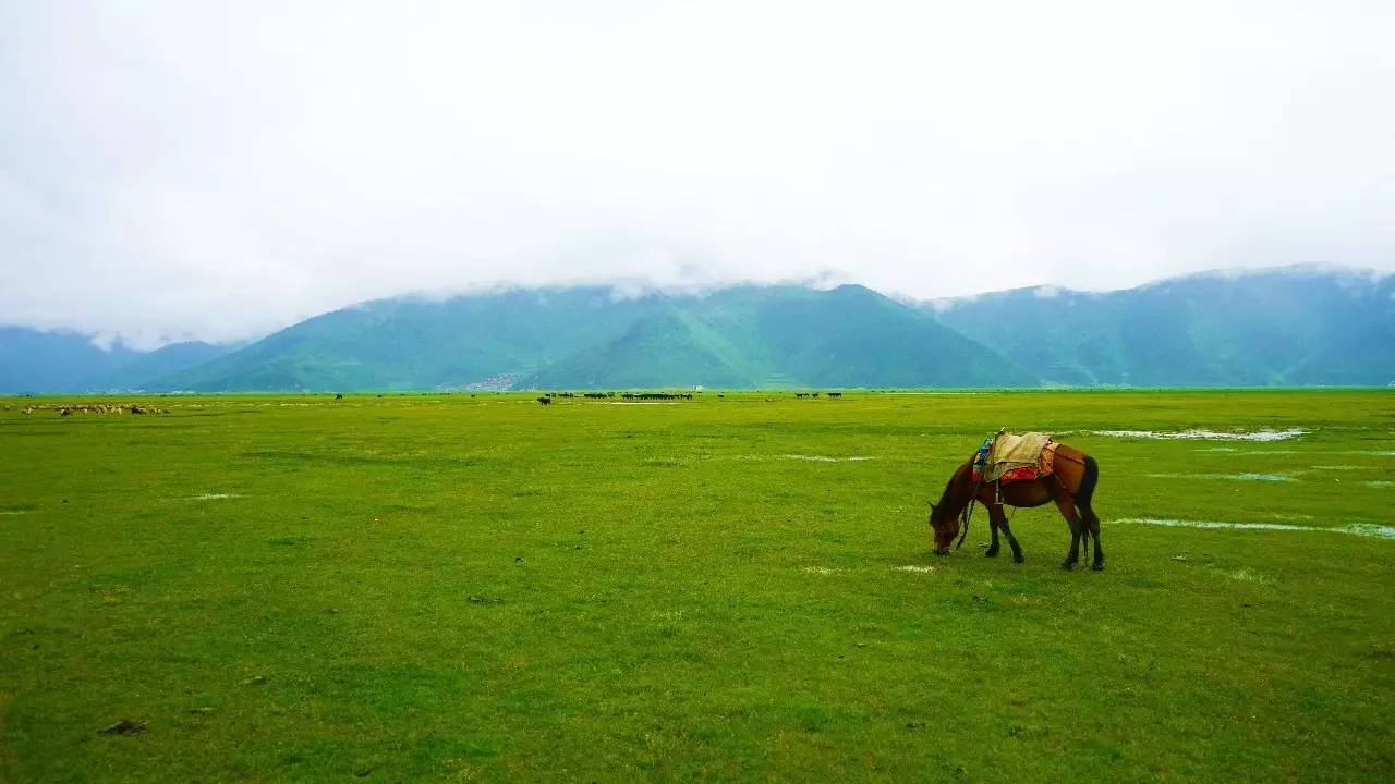 卓廬若家民宿，體味百年老宅的韻味