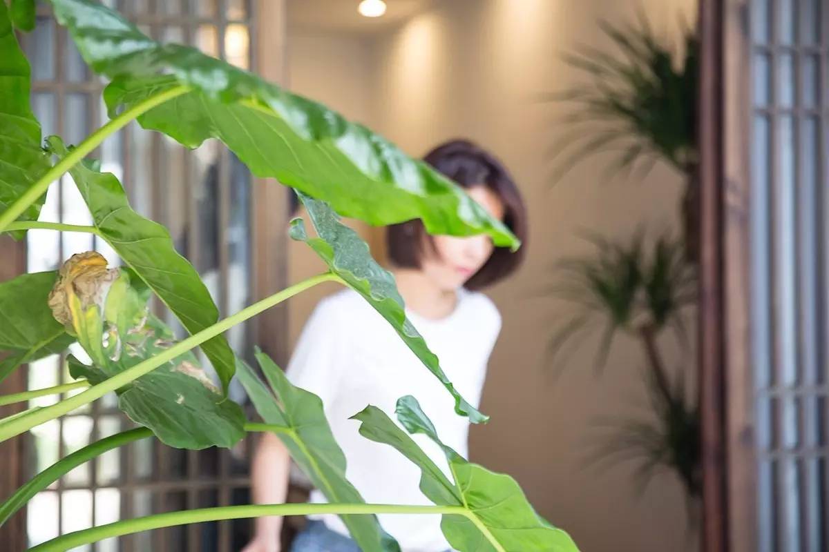 卓廬若家民宿，體味百年老宅的韻味