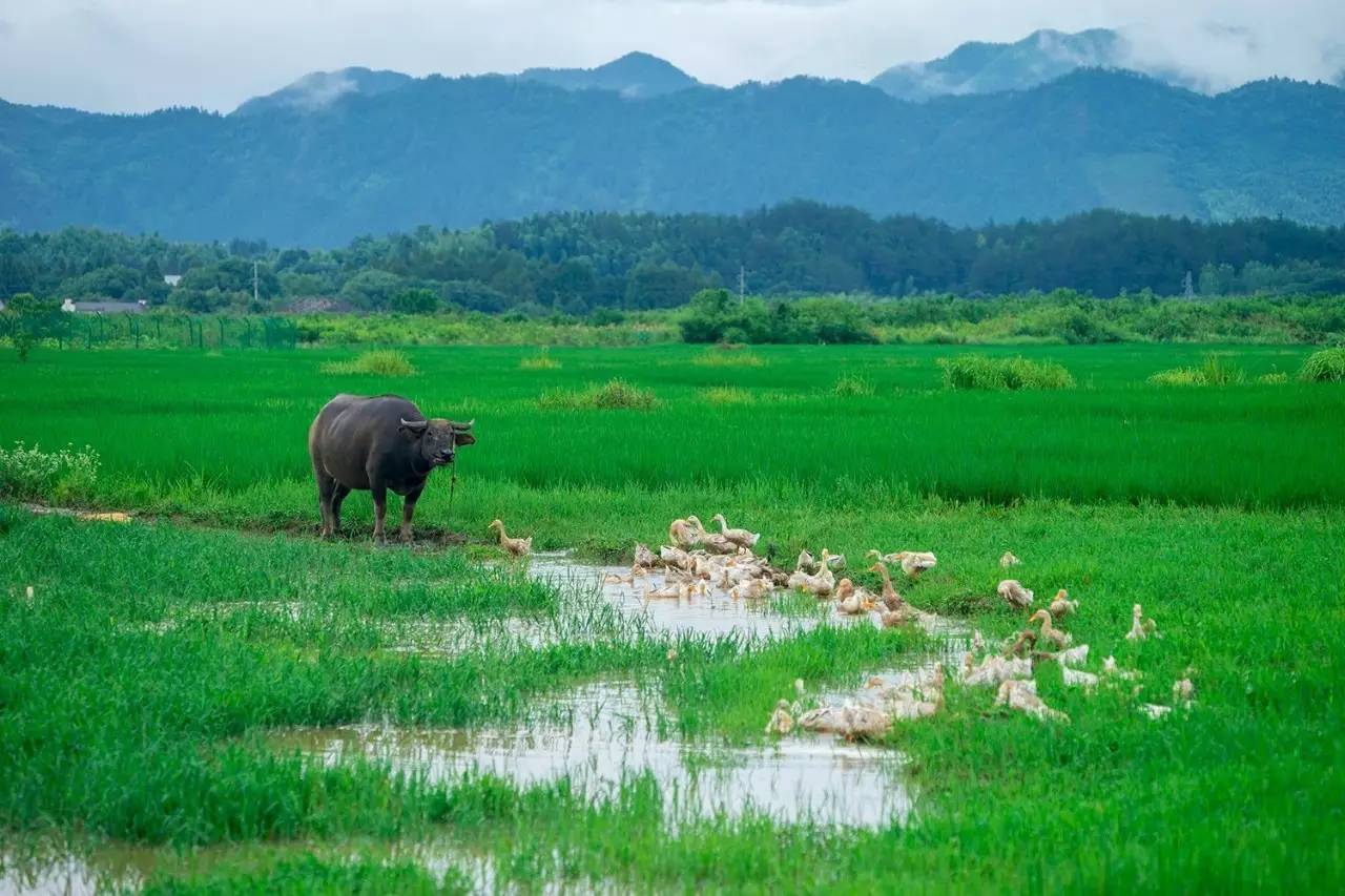 碧山·工銷社，傳承手藝延續(xù)文化