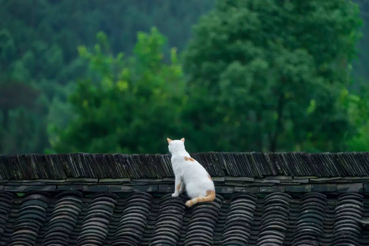 碧山·工銷社，傳承手藝延續(xù)文化