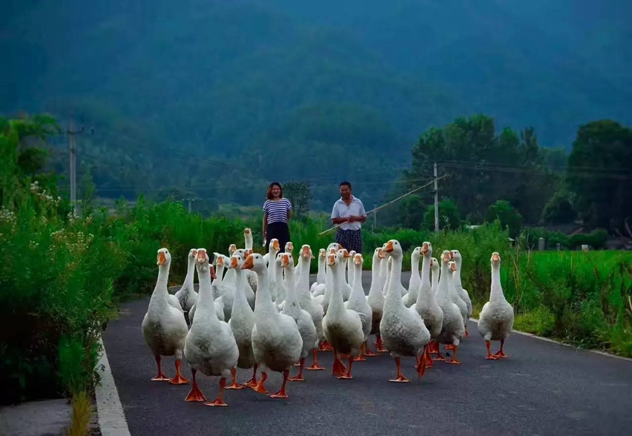 碧山·工銷社，傳承手藝延續(xù)文化