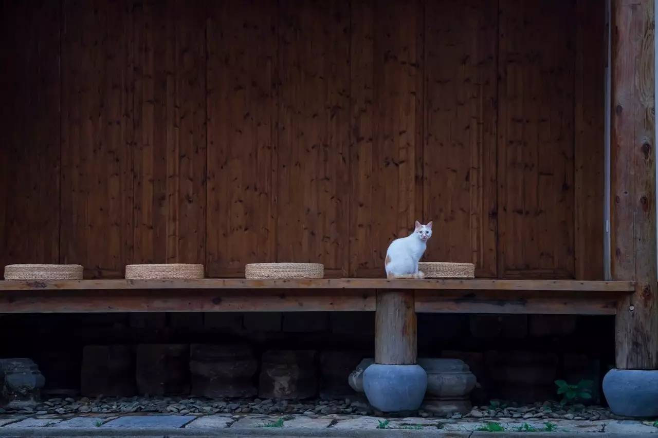 碧山·工銷社，傳承手藝延續(xù)文化