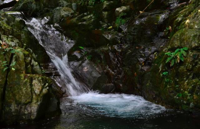不舍·野馬嶺中國村民宿，樂在其中不忘初心