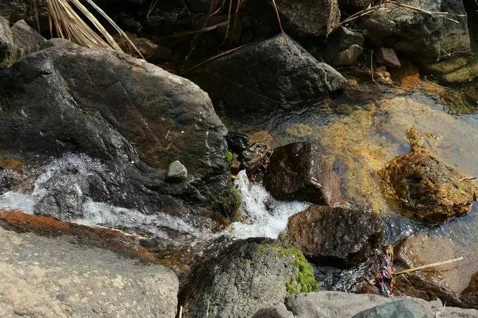 不舍·野馬嶺中國村民宿，樂在其中不忘初心