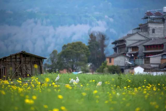 山居秋暝民宿，在大龍井古鎮(zhèn)體驗民族文化