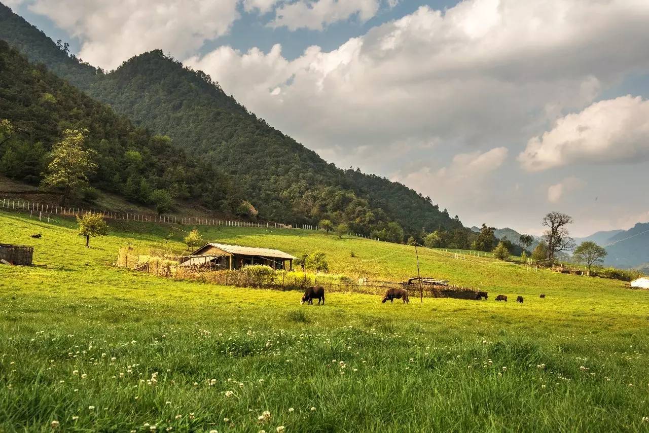 山居秋暝民宿，在大龍井古鎮(zhèn)體驗民族文化
