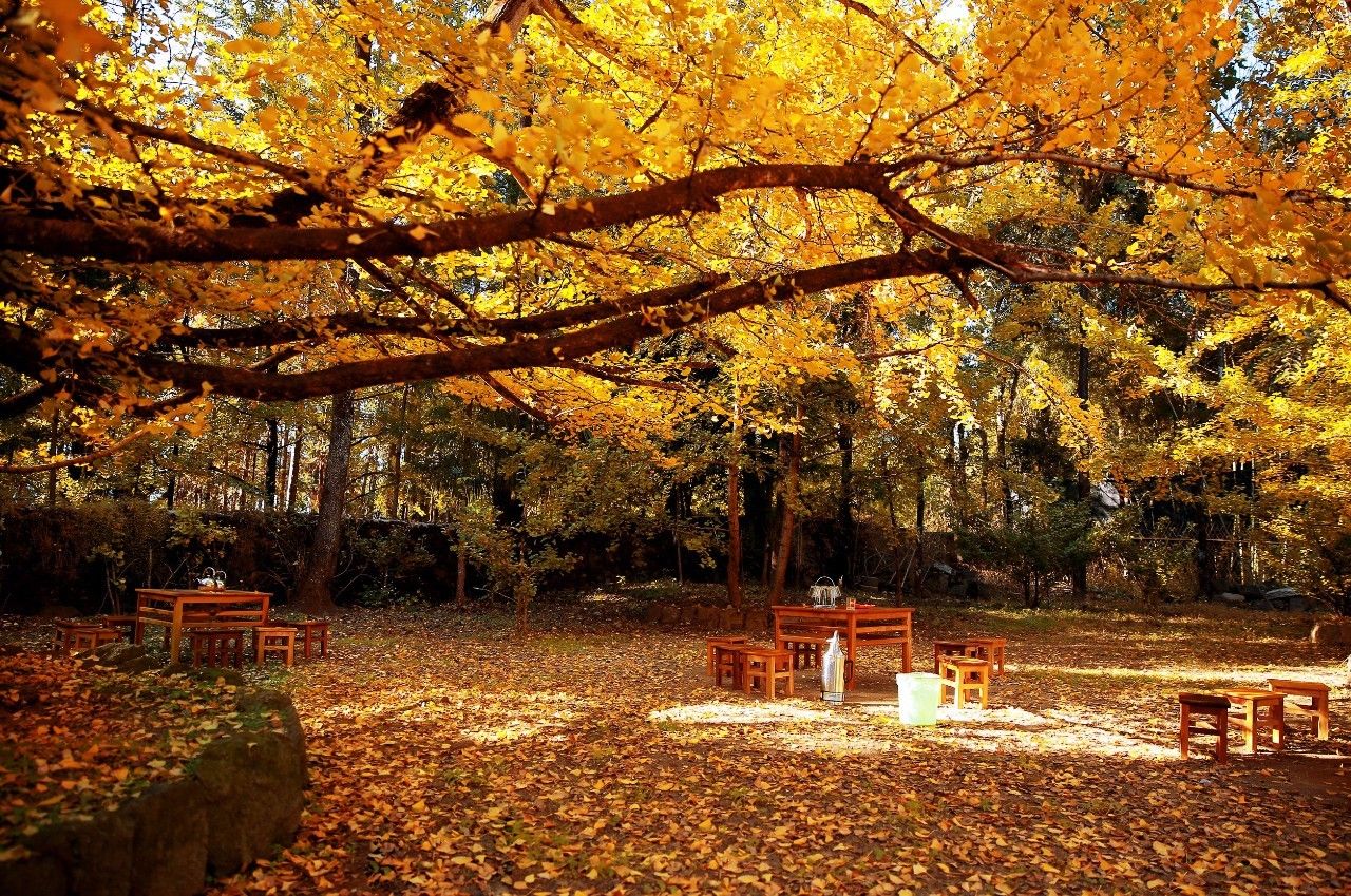 山居秋暝民宿，在大龍井古鎮(zhèn)體驗民族文化