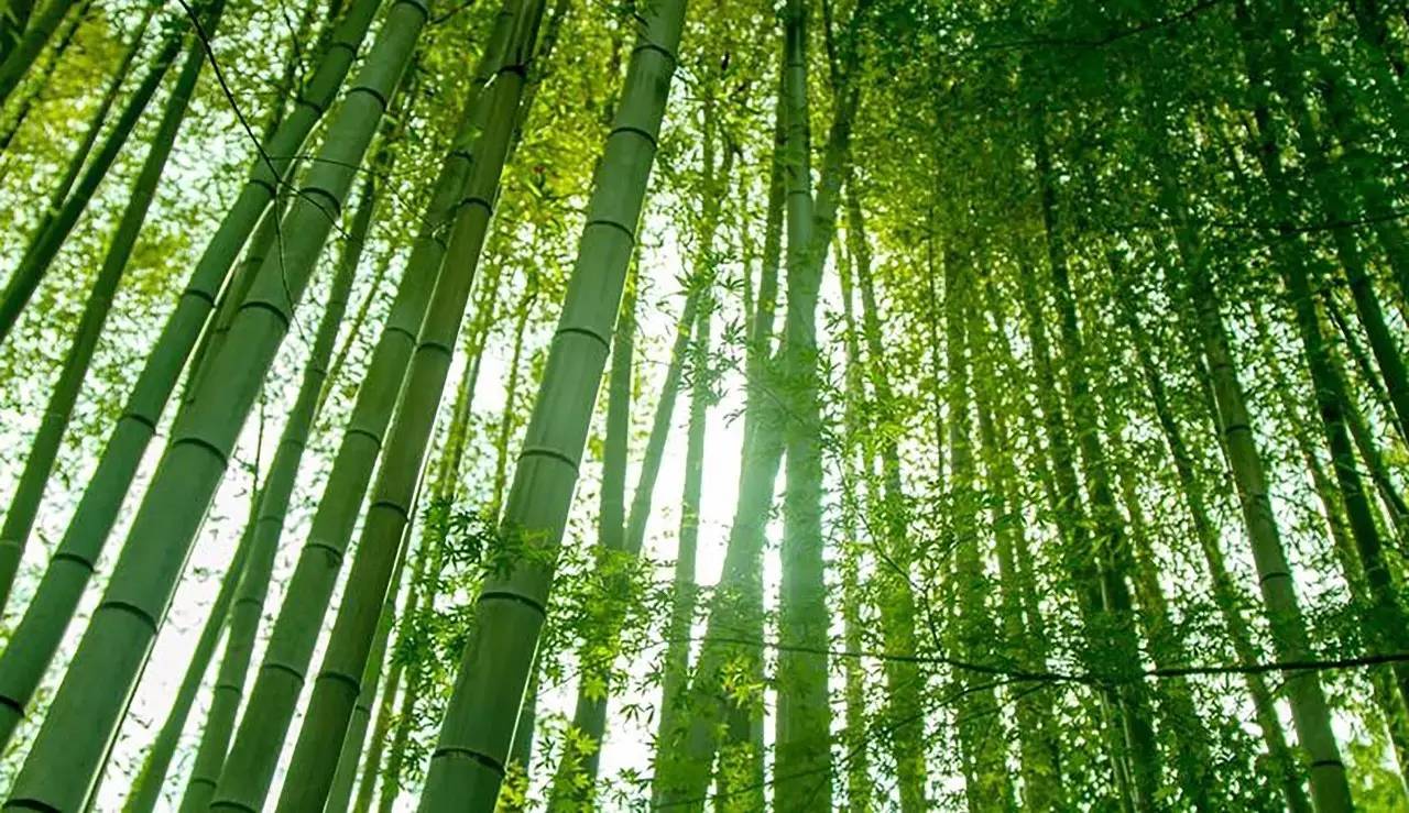 荒無(wú)舍民宿，山腳下日出而作日落而息