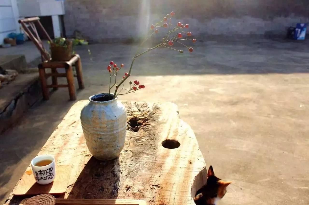 荒無舍民宿，山腳下日出而作日落而息