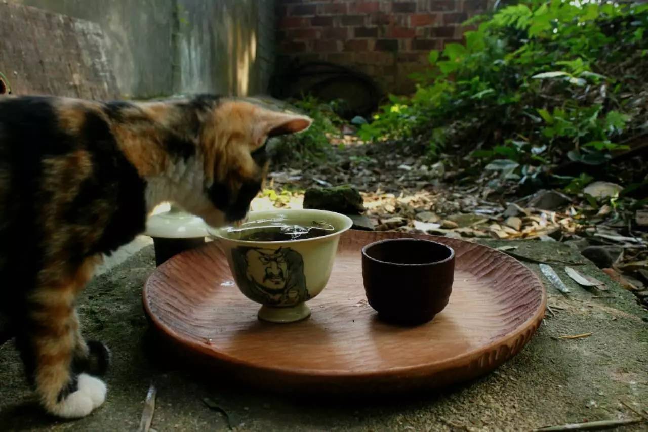 荒無舍民宿，山腳下日出而作日落而息