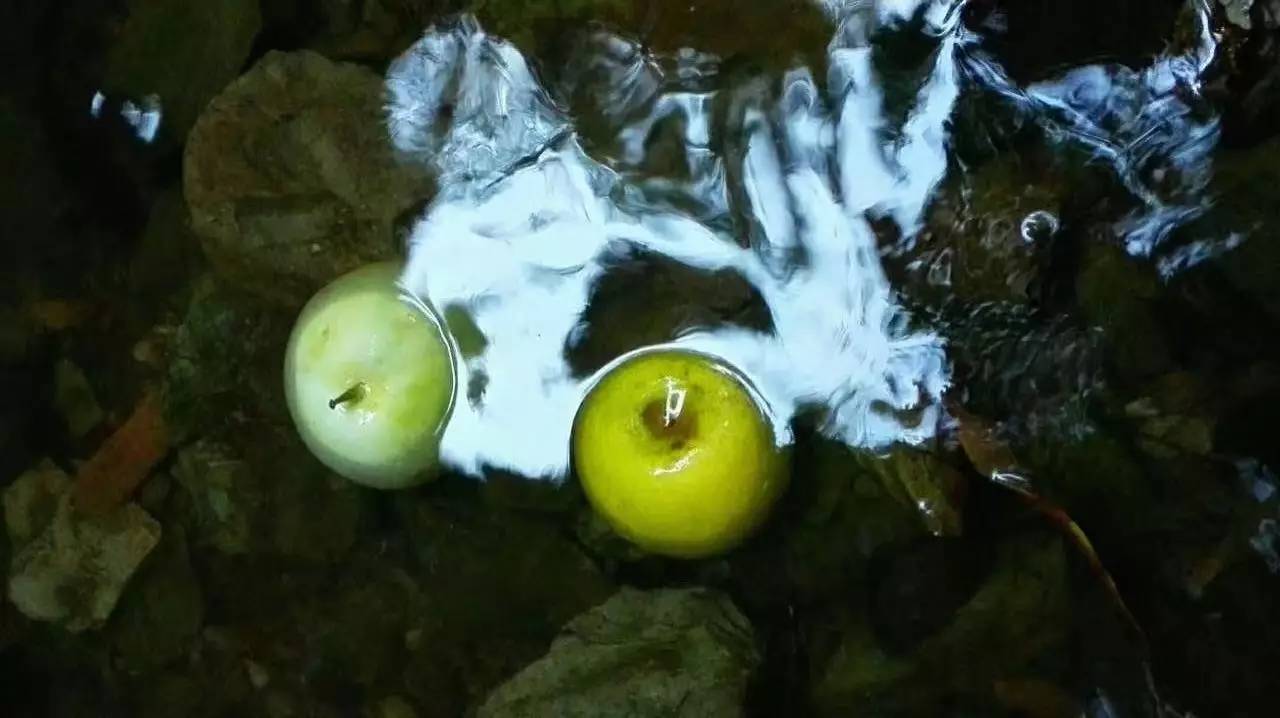 荒無舍民宿，山腳下日出而作日落而息