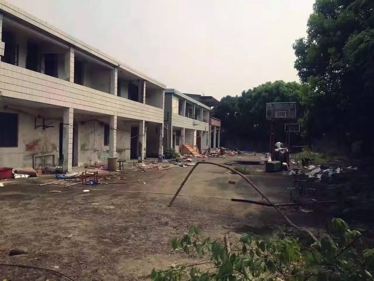 上海四舍，遠離城市溫暖自由靈魂的世外江湖