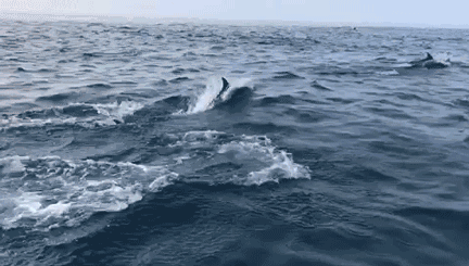 悠居·三朝舍民宿，帶你吃喝玩轉(zhuǎn)南澳島