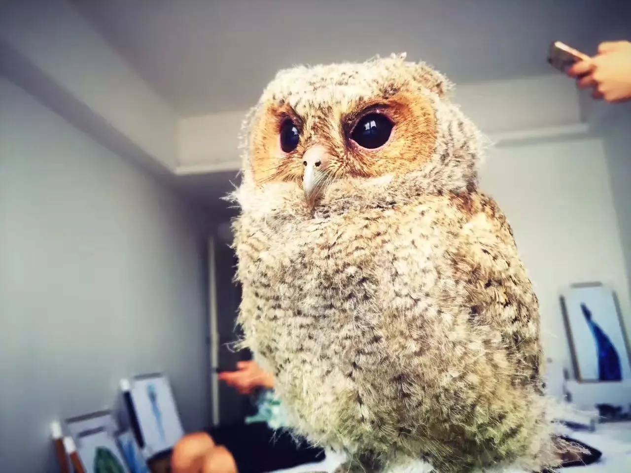 悠居·三朝舍民宿，帶你吃喝玩轉(zhuǎn)南澳島