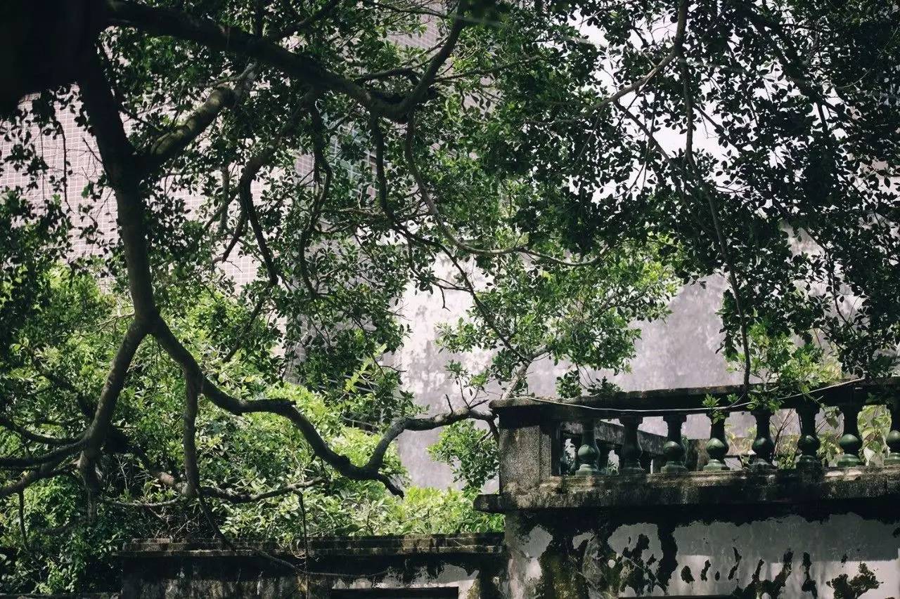 悠居·三朝舍民宿，帶你吃喝玩轉(zhuǎn)南澳島