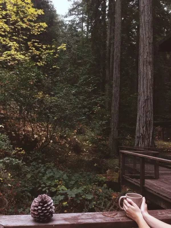 住進(jìn)山林享受一個(gè)人的狂歡，愛上中式裝修的1