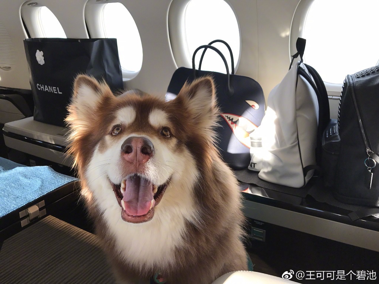 在小筑沐野民宿，不被年齡定義和束縛活出自己