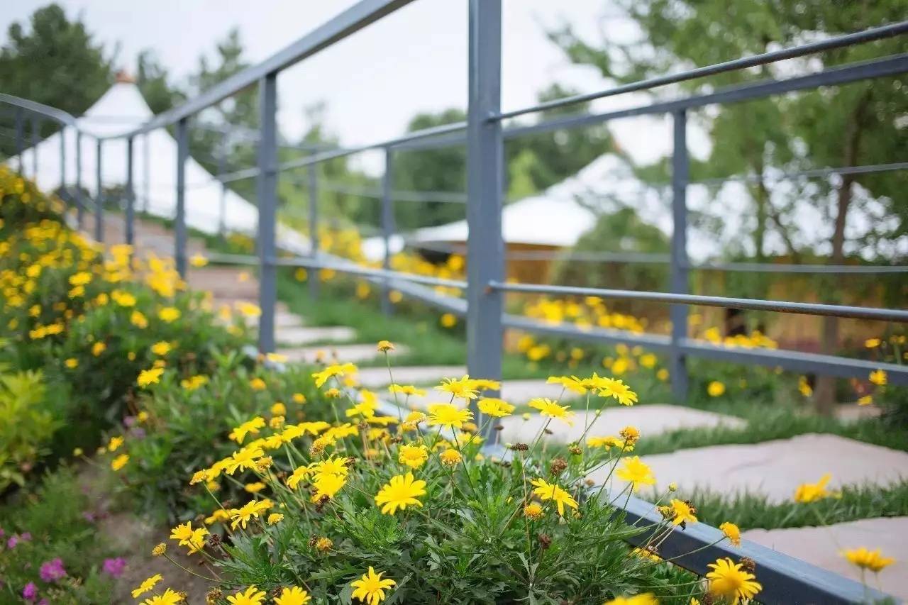 淼兮民宿，在天水一方尋找最寧?kù)o的心