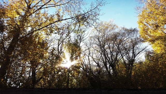 6步人間7步天堂，西藏拉薩布達(dá)拉宮民宿