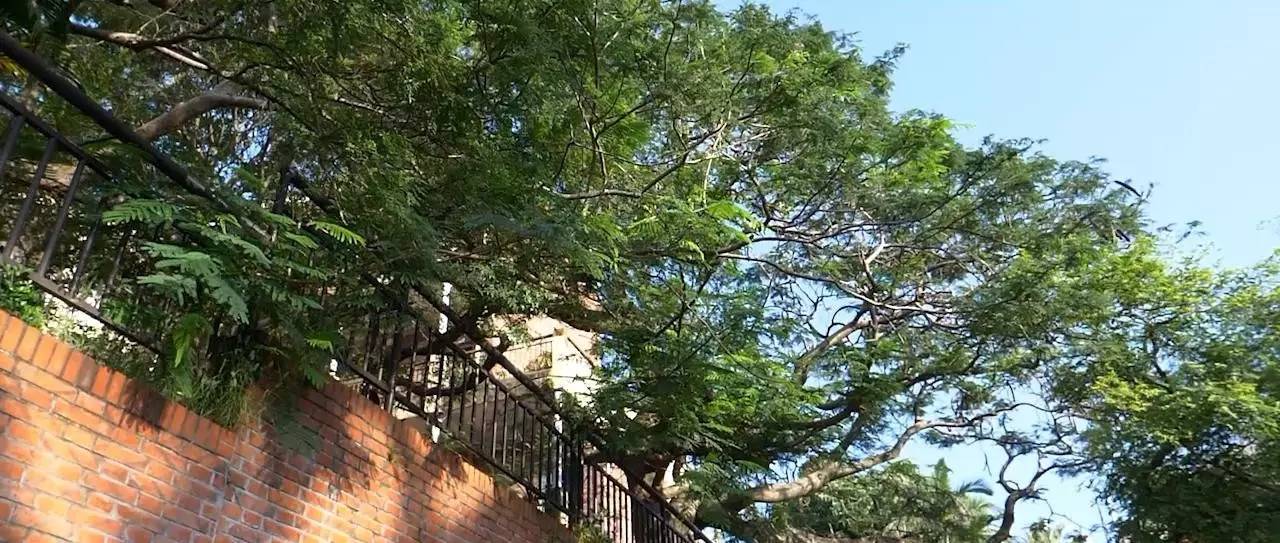 鼓浪嶼喜林閣民宿，遇見心頭歡喜