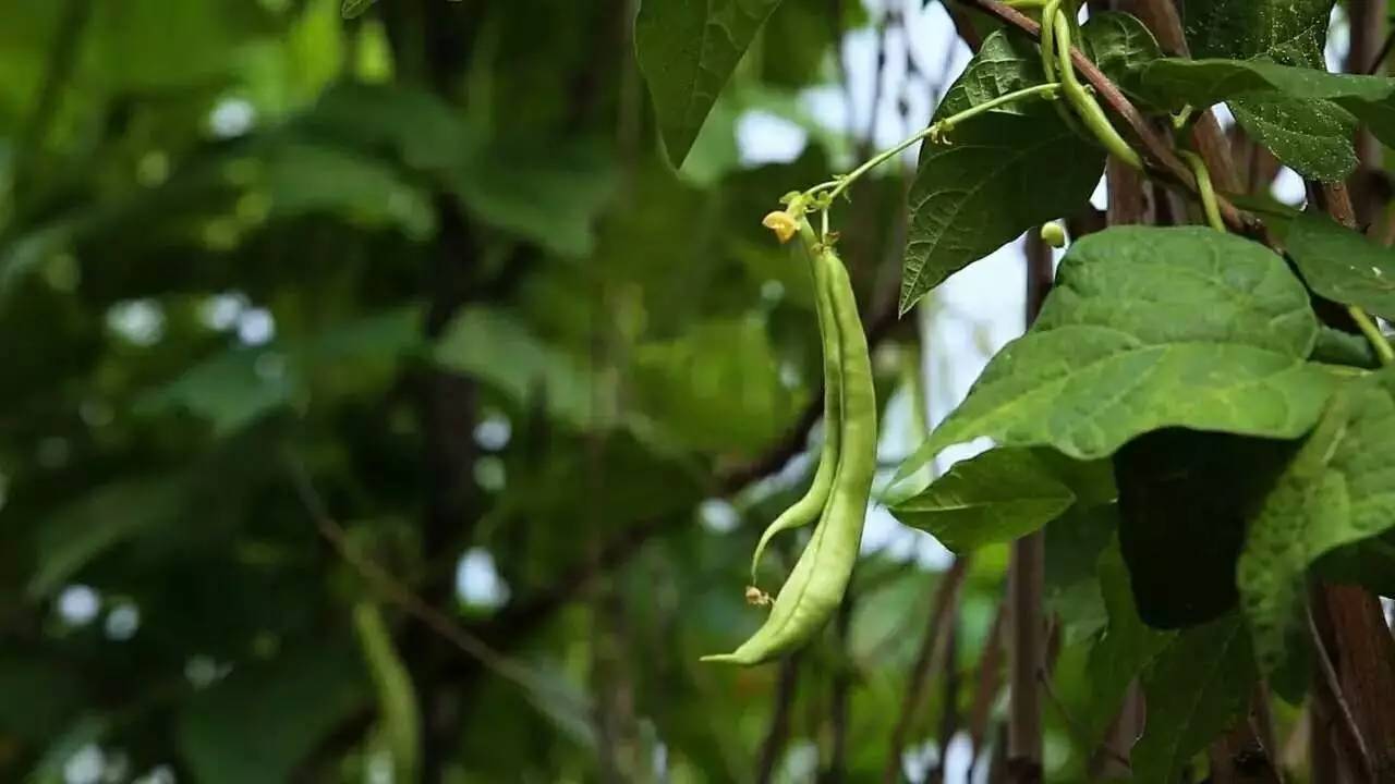 北京延慶畫框里，置身一幅山水長卷妙不可言