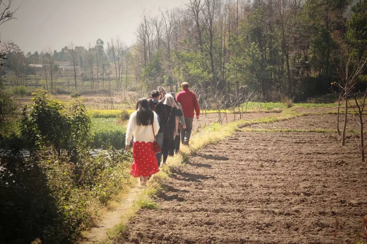 大理既下山，天光云影共徘徊
