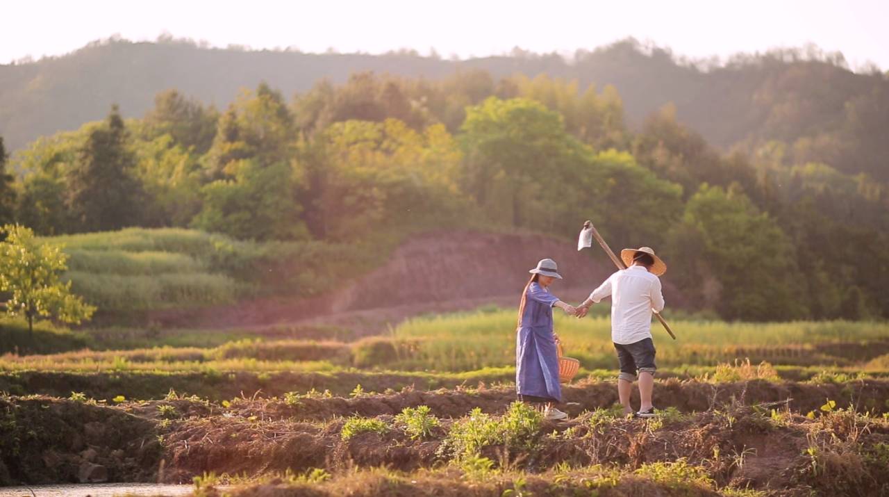 新安江畔谷掌民宿，莊園里享受青山環(huán)繞的美景