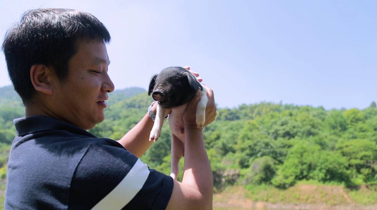 新安江畔谷掌民宿，莊園里享受青山環(huán)繞的美景